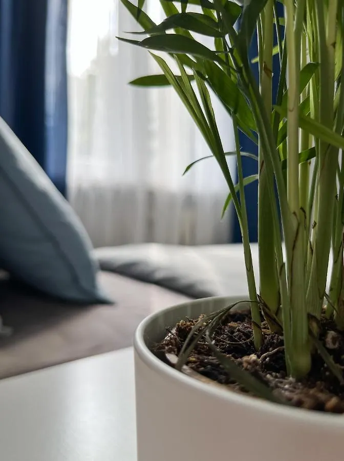 Hostel Flower House Warsaw Chopin Airport